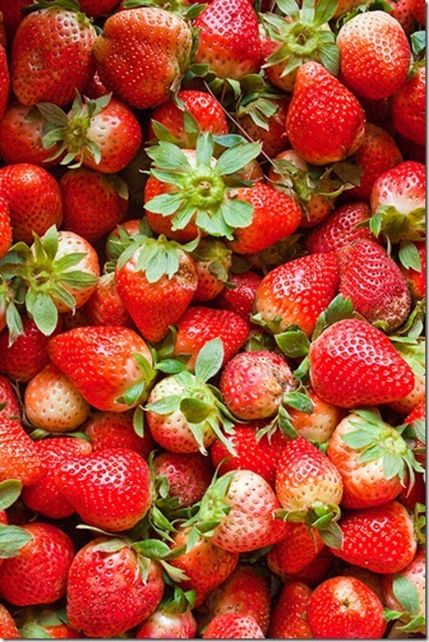 fresas fresas