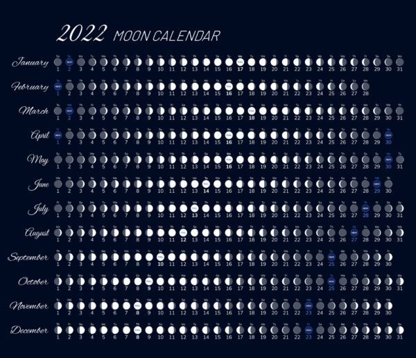 El Calendario Lunar Para Huerto Y El Jard n Julio 2022 ElBlogVerde 
