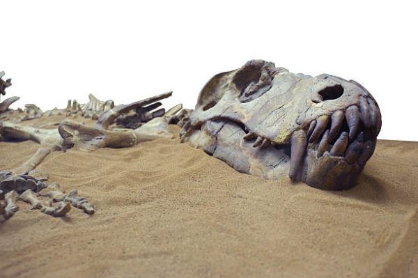 Dinosaurios que eran como eran que tipos habia y por que se extingueron